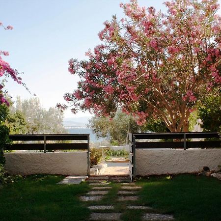 Beachfront Garden Apartment- Atlas Complex Loutraki  Luaran gambar